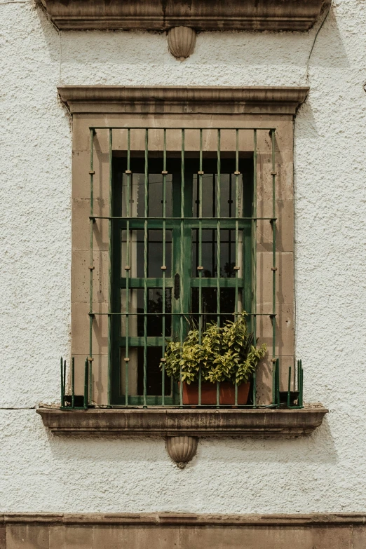 the window on the building has bars over the panes