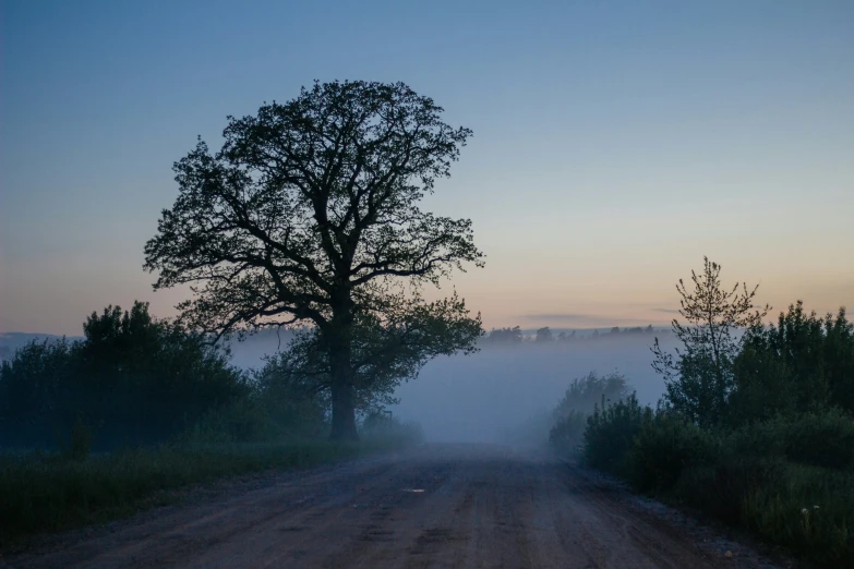 the foggy road is empty at dusk