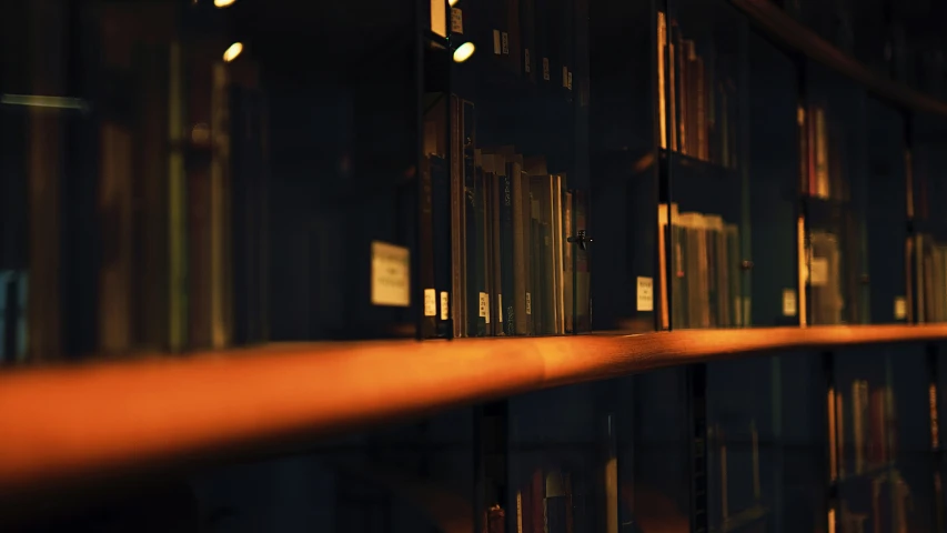 a long row of books sitting on top of bookshelves