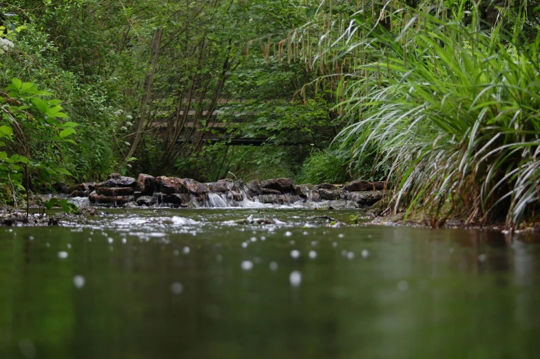 a small creek with some water running next to it