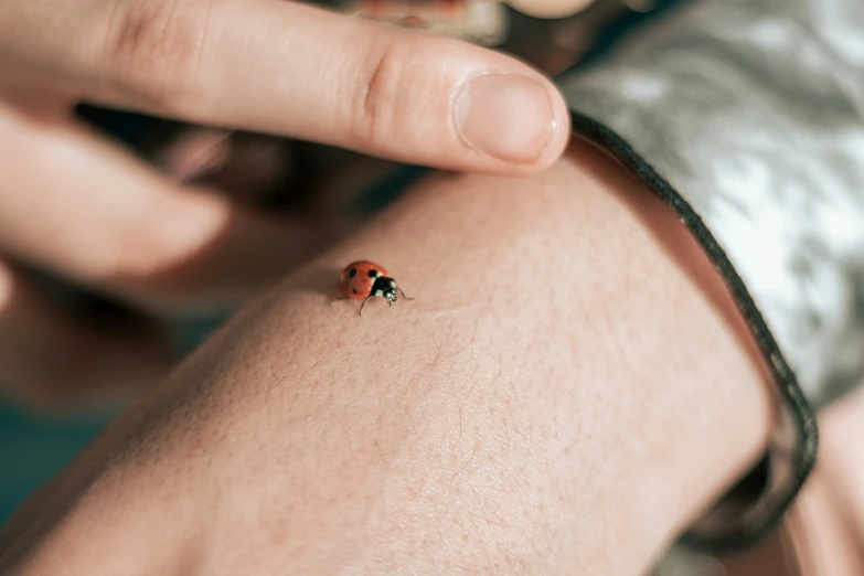 a small red bug sitting on a persons right leg