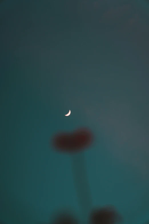 an eclipse on the horizon and moon behind a silhouetted person