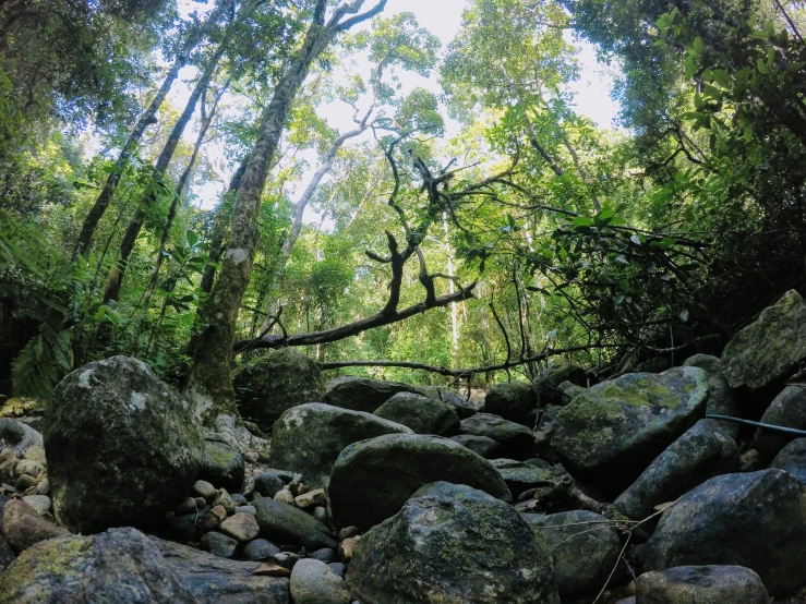 a man walking down rocks in the woods