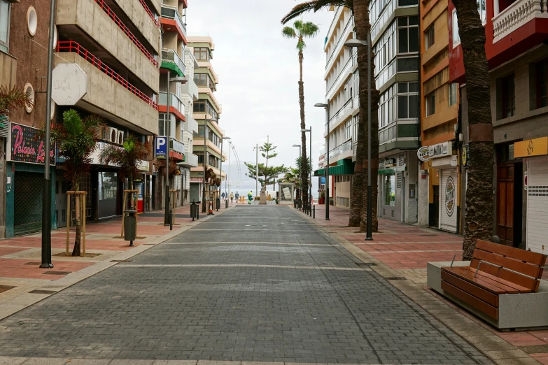 the empty street is lined with storefronts and palm trees