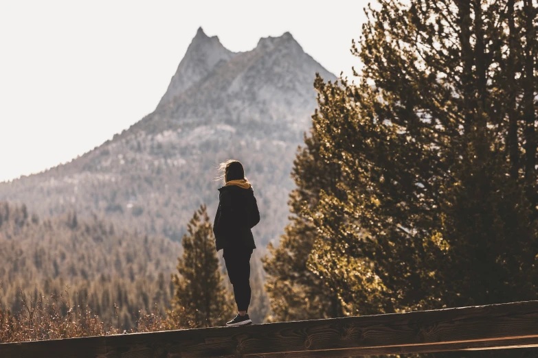 a person standing on top of a large tree nch