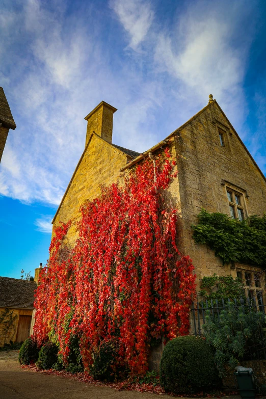 a large building that has some red flowers on it