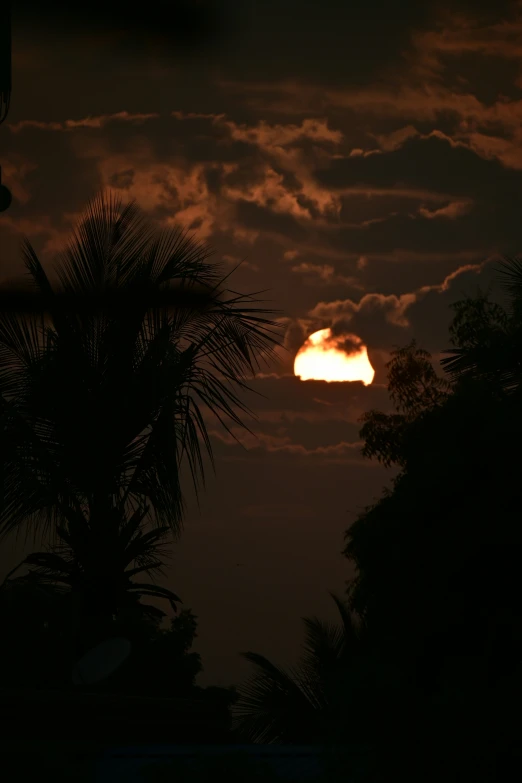 the sun setting with trees on either side