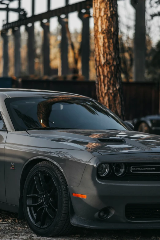 a grey car parked next to a tall tree