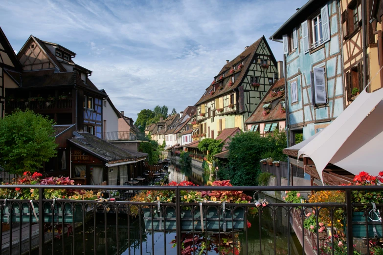 the buildings and flowers on the water line the waterway