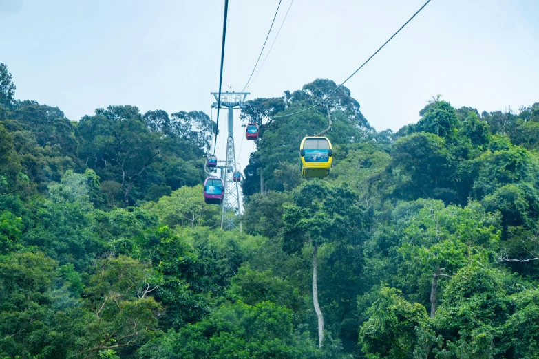 two gondola cars ride high above the trees