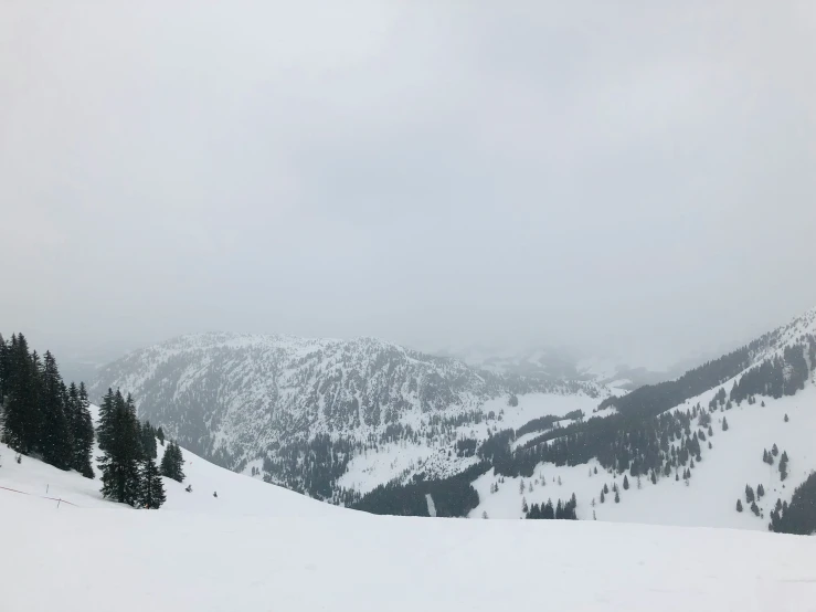 snow covered mountains and evergreen trees during the day