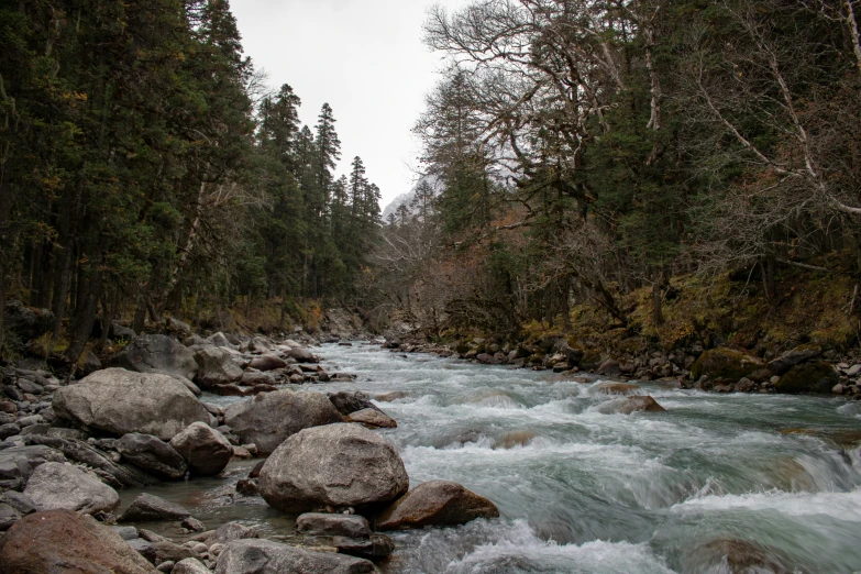 river running through a rocky, mountain forest