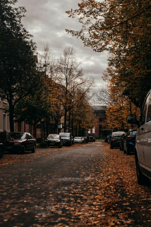 a street with parked cars in it surrounded by fall leaves