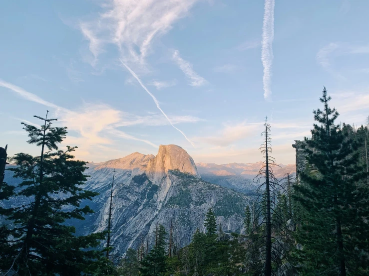 a mountain range with pine trees in front