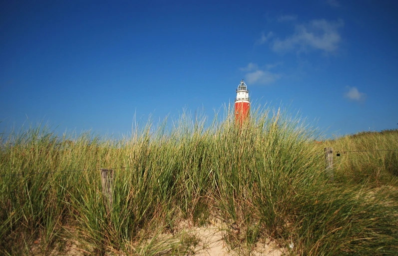 there is a large tall grassy tower at the beach