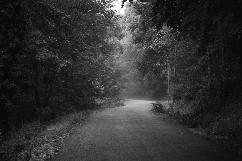 a black and white po of a road surrounded by woods