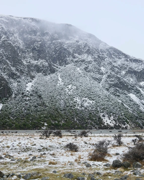 a field covered in snow and frost with a large mountain behind it