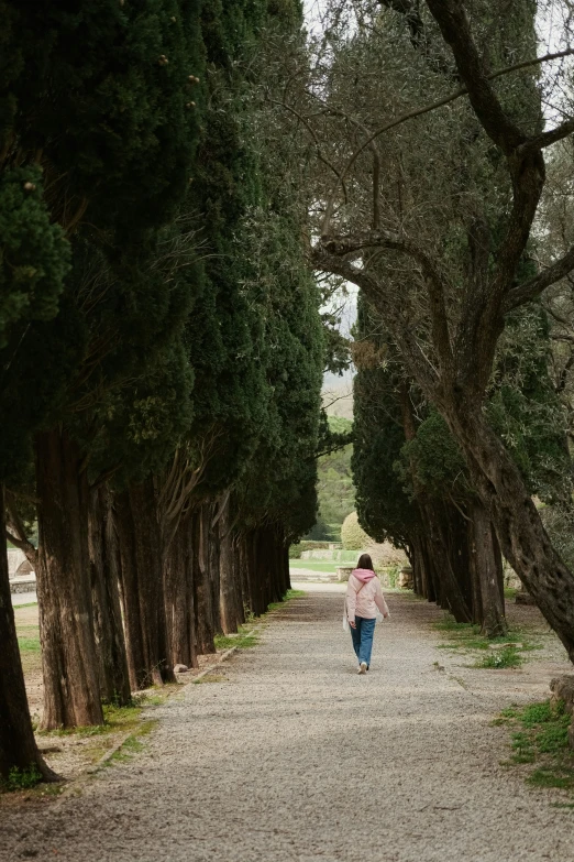 a person walking down a path lined with trees