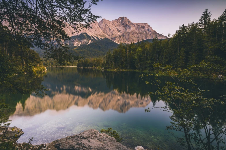 a body of water surrounded by forest and a mountain