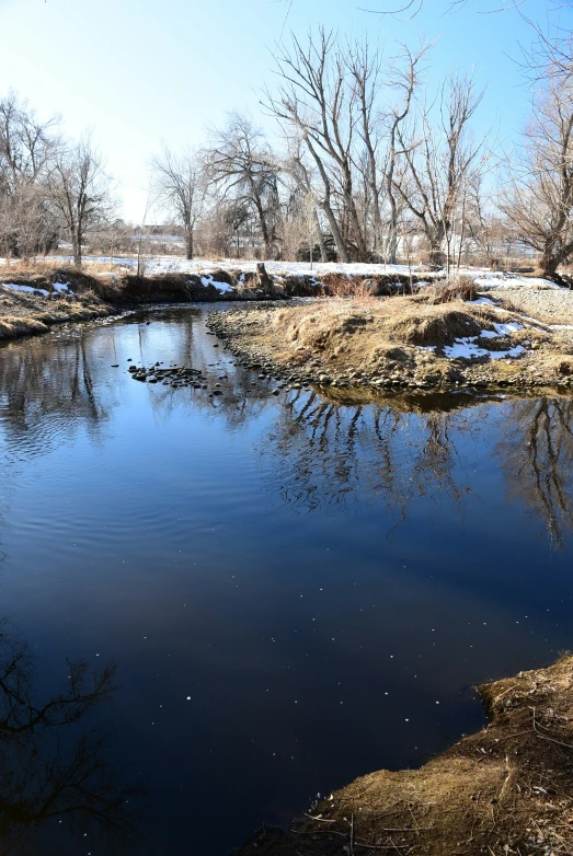 a body of water surrounded by trees with small rocks in the bottom