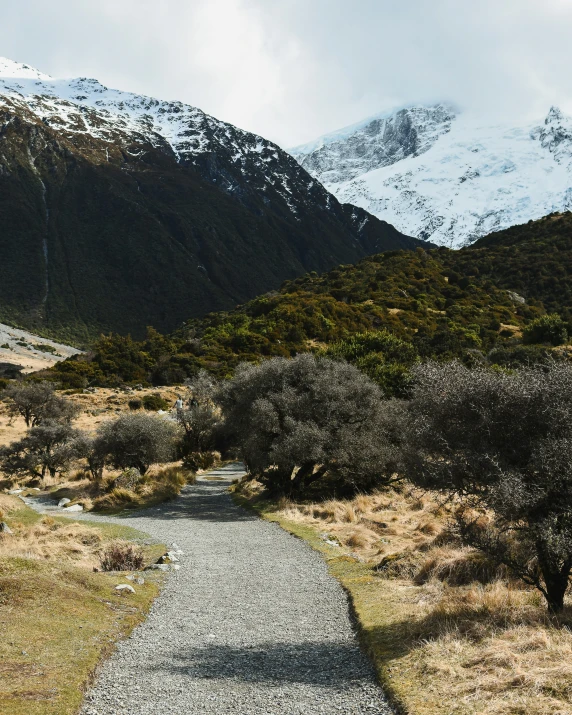 the trail winds through a wide grassy meadow