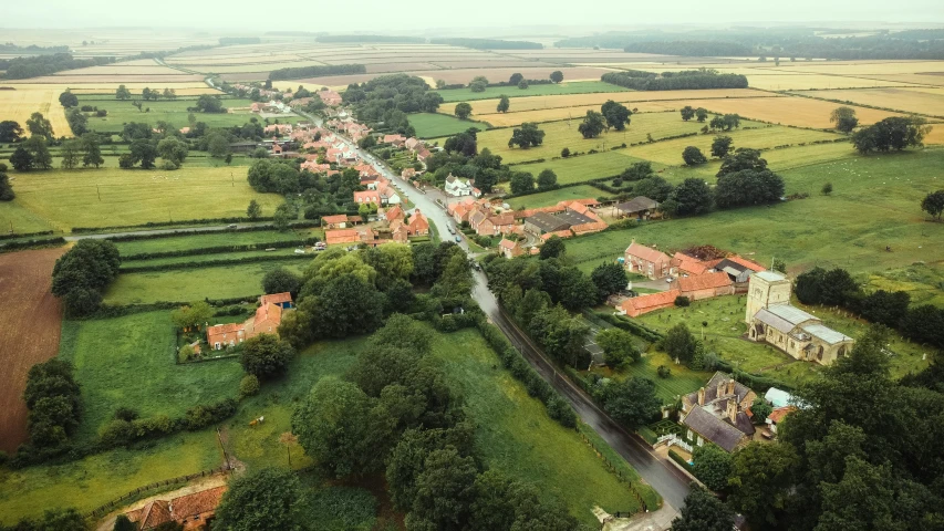 an aerial view of a small village with trees