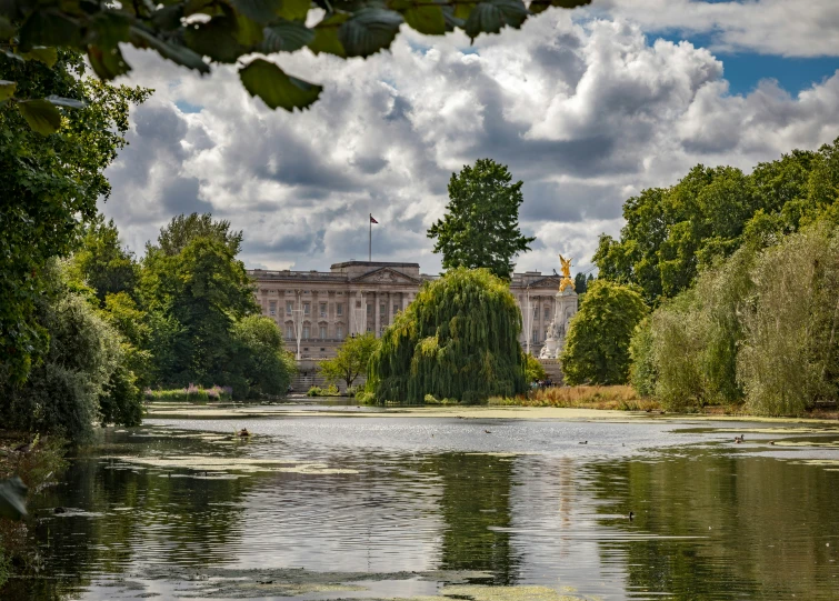 view from a lake in front of a building and trees