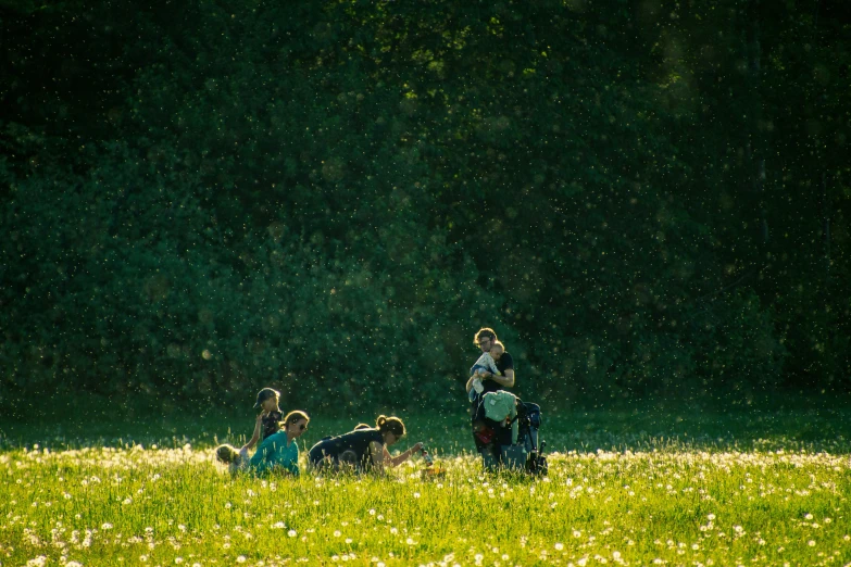 a woman with children and dog are on the grass