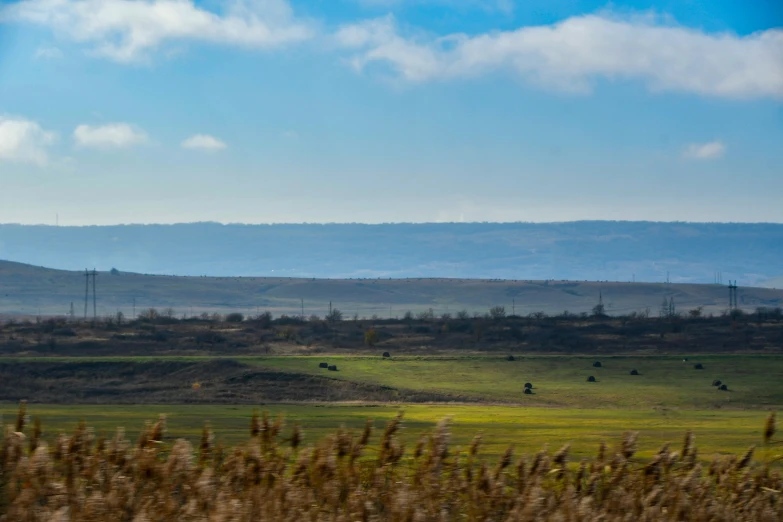 an open field with mountains and trees in the background