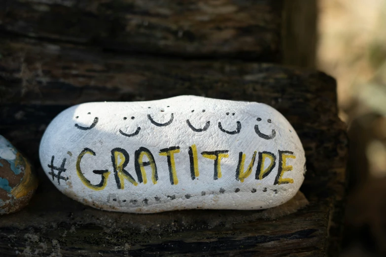 a white rock with the words gratitude on it