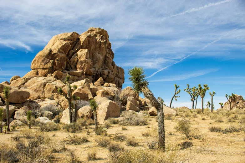 a group of rocks sitting on top of a sandy beach