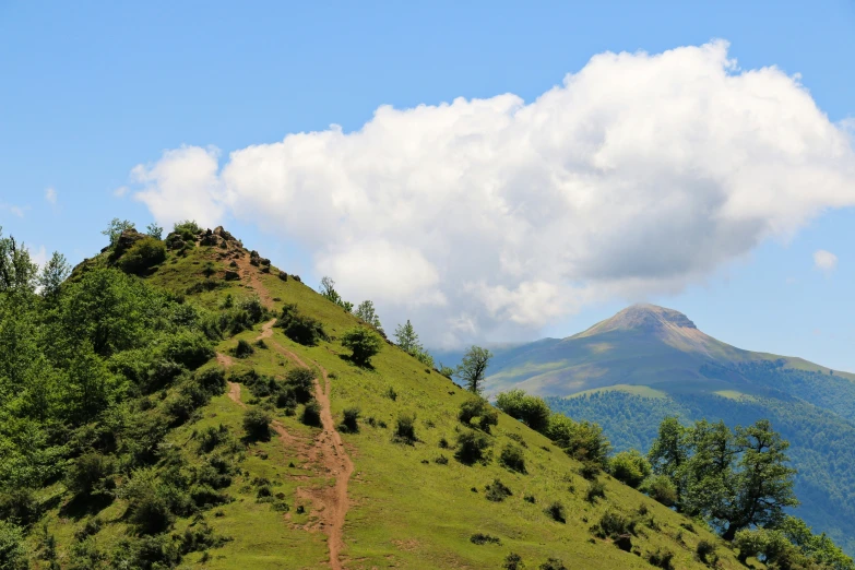 a mountain that has trees on it on a hill