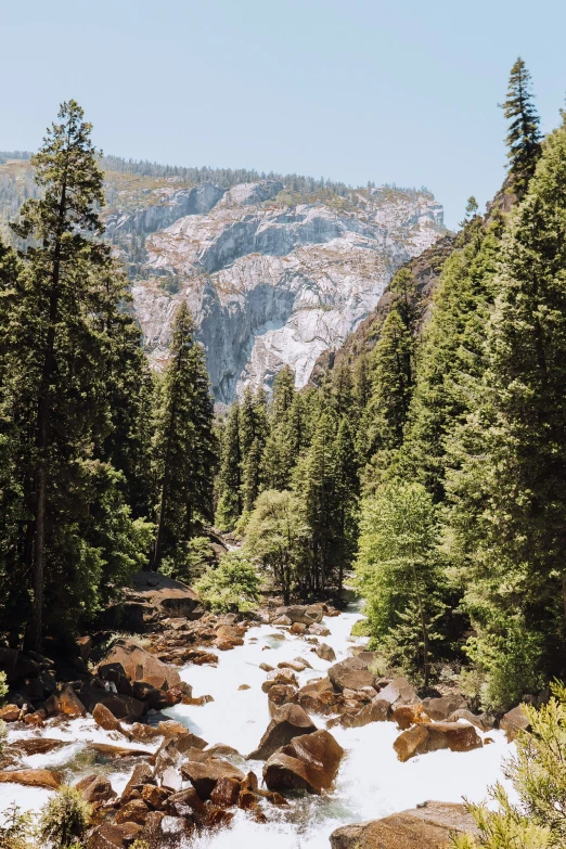 a stream in the middle of some woods