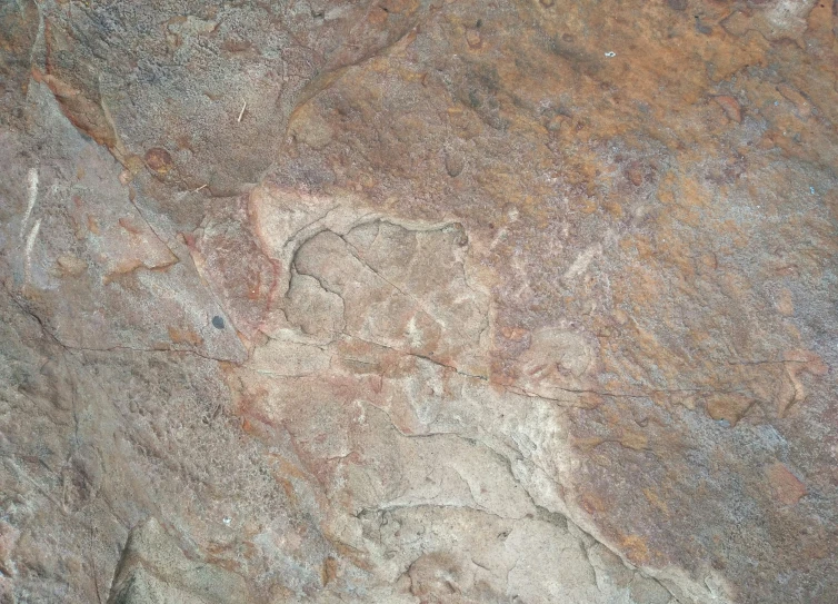 this is the image of a petroglyeous rock painting