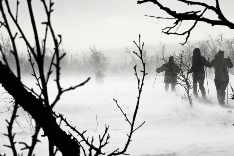 several cross country skiers in a snow storm