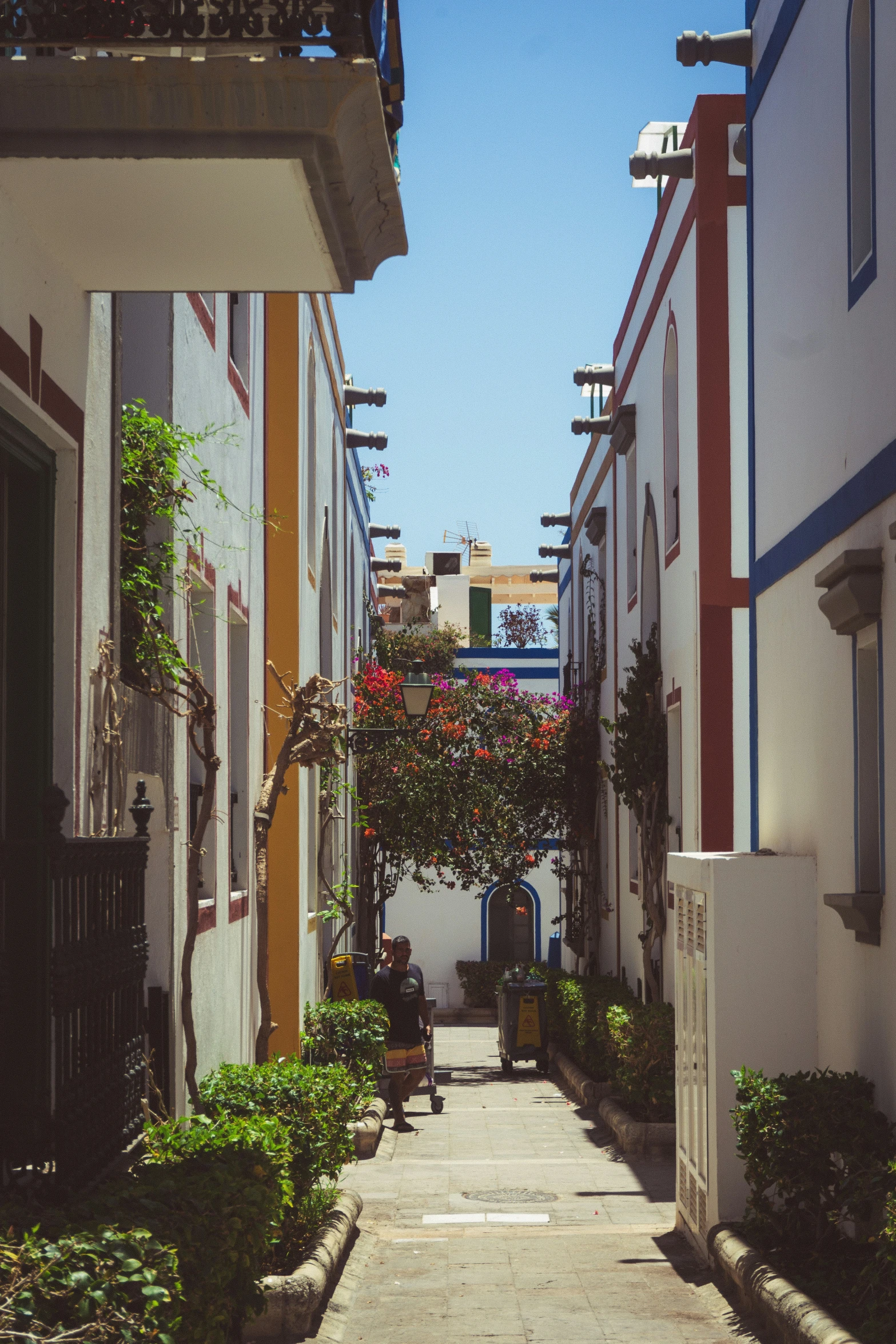 a street that is lined with colorful buildings