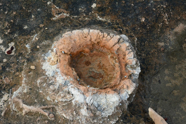 an odd, circular shaped rock on a sandy surface