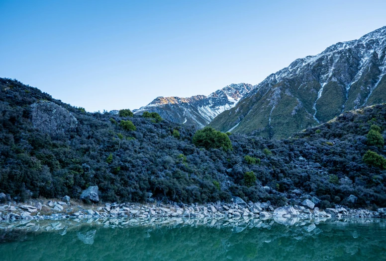 trees and hills sit next to a body of water