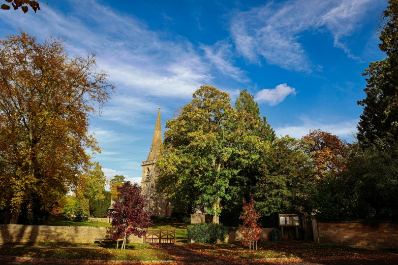 a park with a clock tower and many trees