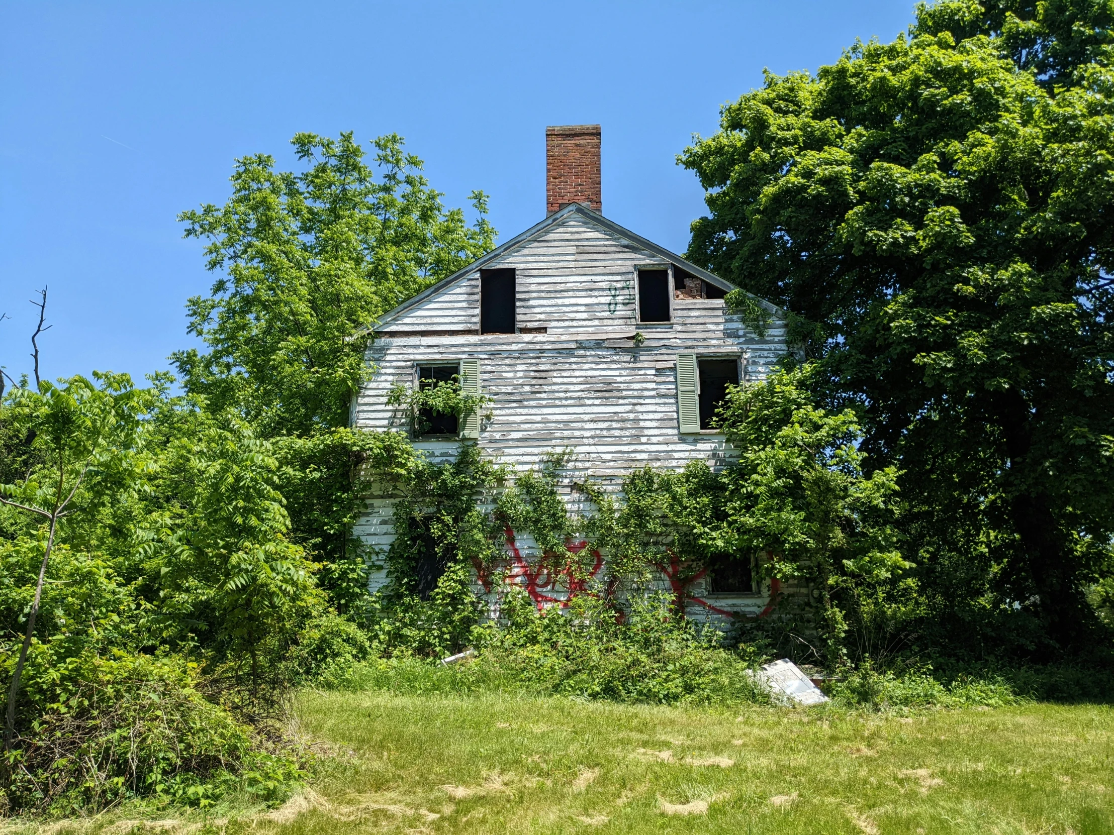 an abandoned house with some flowers in the bushes