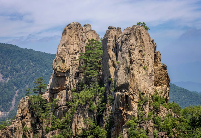 two rocks with trees growing out of them