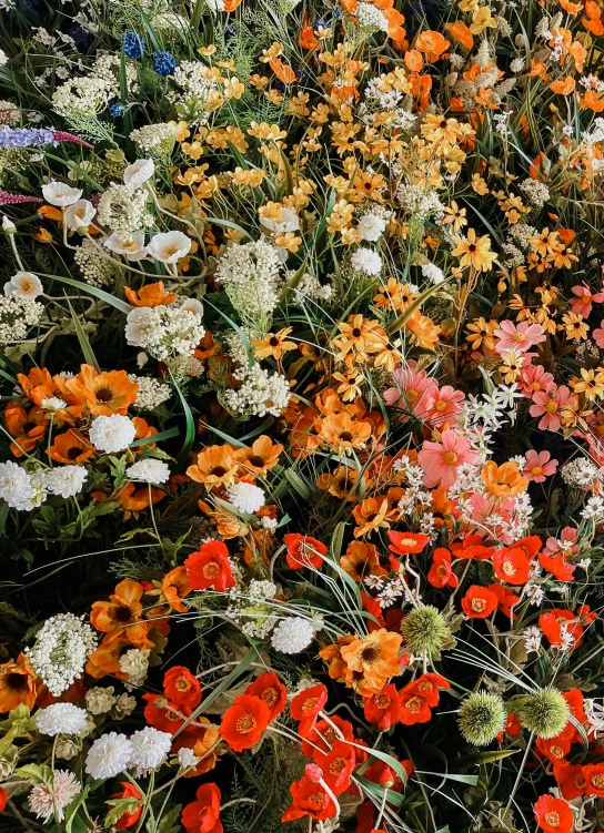 a large field of colorful flowers with the stems still on