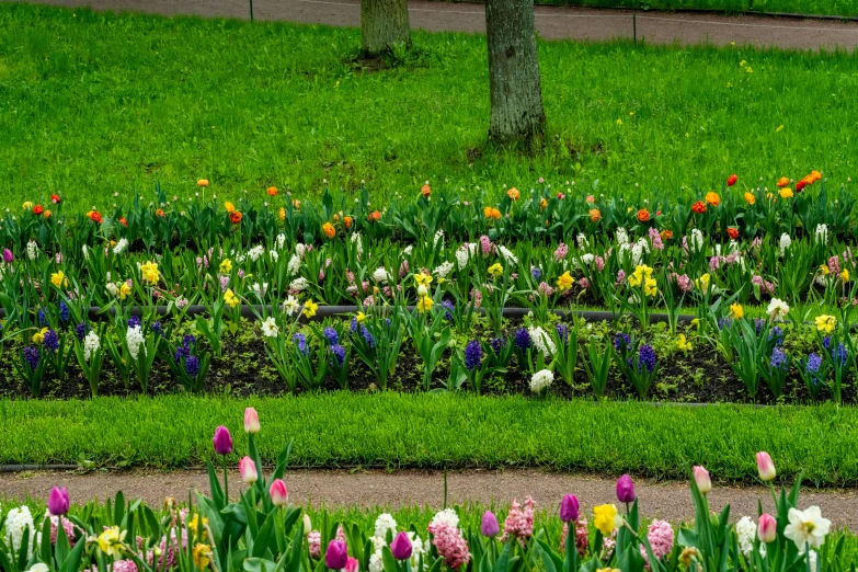 many colorful flowers line the road in front of trees