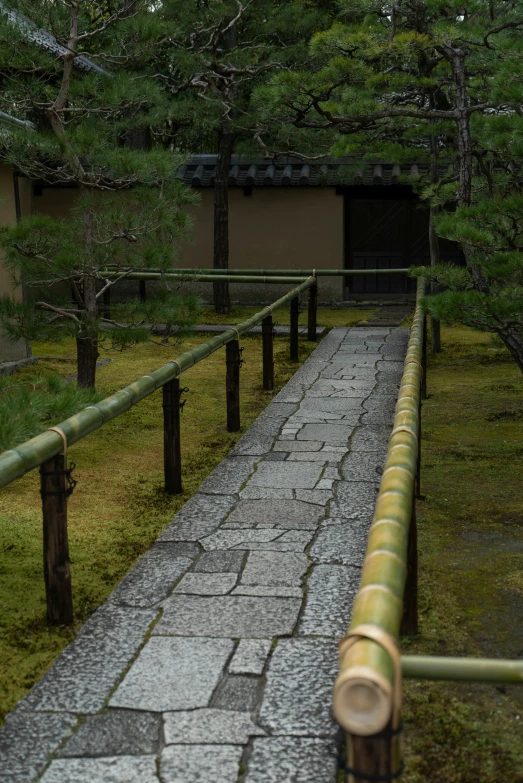 the walkway is lined with metal poles