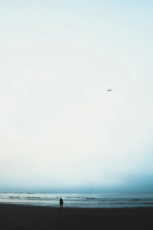 a lone person on the beach watching the seagulls