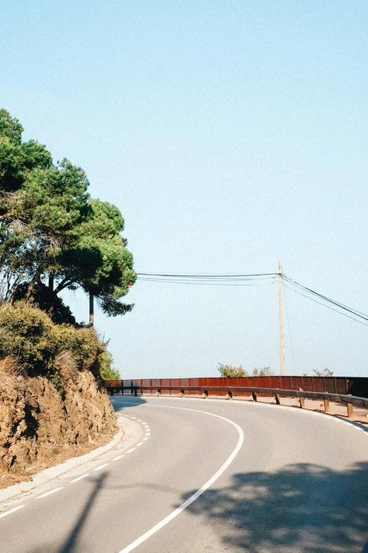 a picture of a tree on the side of a highway