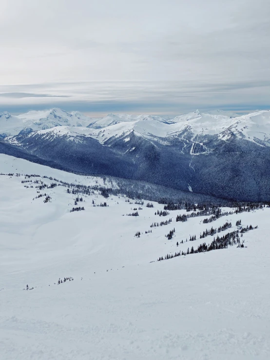 snow and pine trees line the hills of a mountain