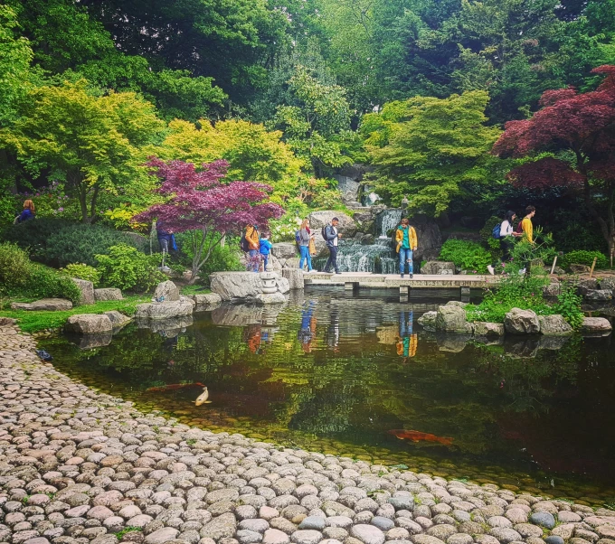 people stand at the pond surrounded by trees and rocks