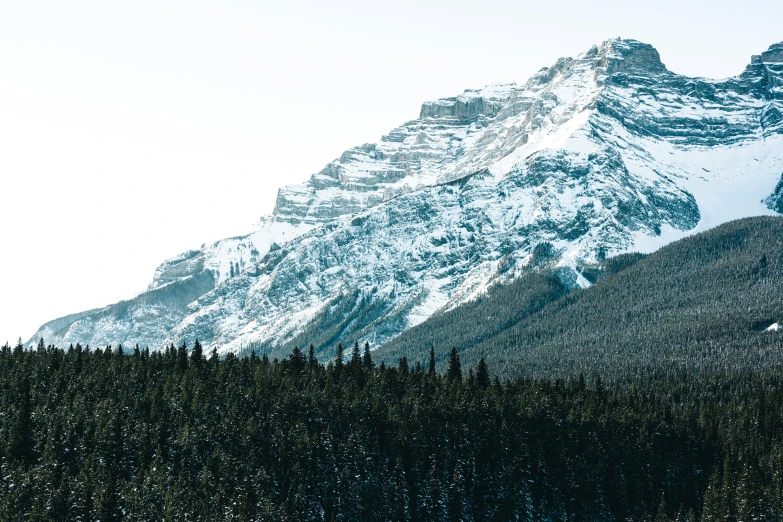 a snow covered mountain in the background and trees below