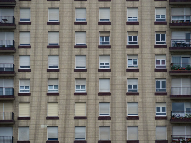 multiple windows on a building with closed shutters